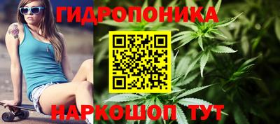 ПСИЛОЦИБИНОВЫЕ ГРИБЫ Донской