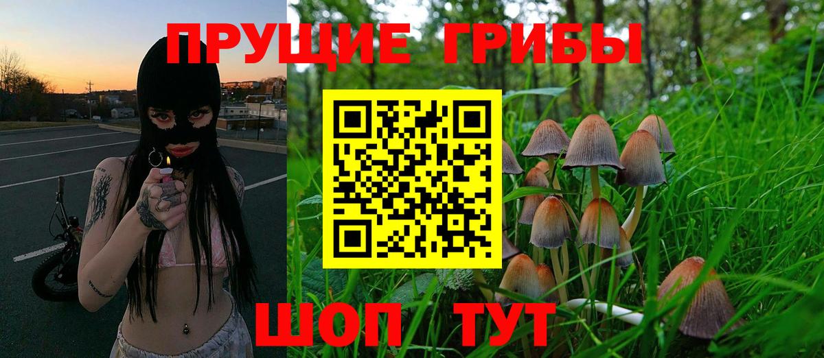 Галлюциногенные грибы прущие грибы Миллерово