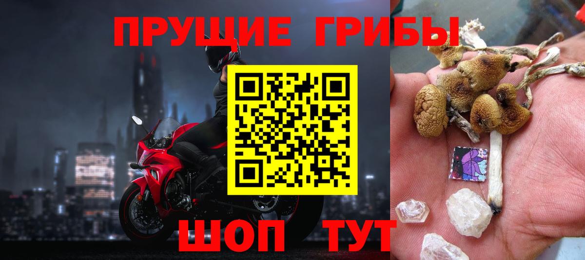 Галлюциногенные грибы Cubensis  Вход с VPN  Миллерово 
